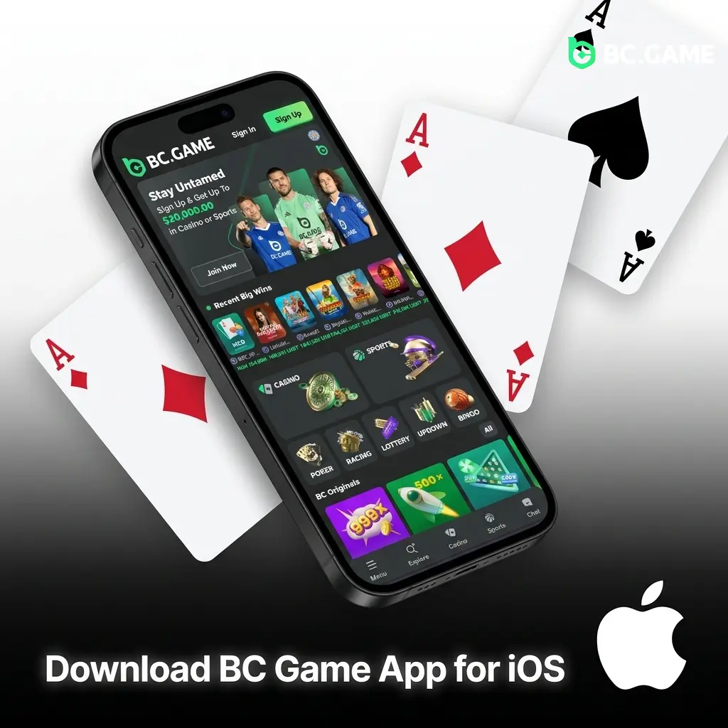 BC Game PWA installation on iPhone home screen for iOS casino and sportsbook access in India